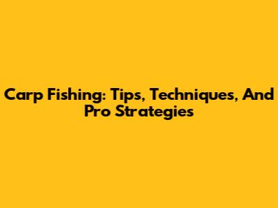Carp Fishing: Tips, Techniques, And Pro Strategies