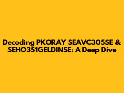 Decoding PKORAY SEAVC305SE & SEHO351GELDINSE: A Deep Dive