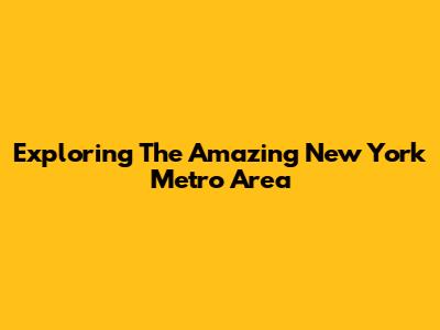 Exploring The Amazing New York Metro Area
