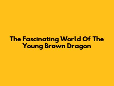 The Fascinating World Of The Young Brown Dragon