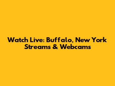 Watch Live: Buffalo, New York Streams & Webcams